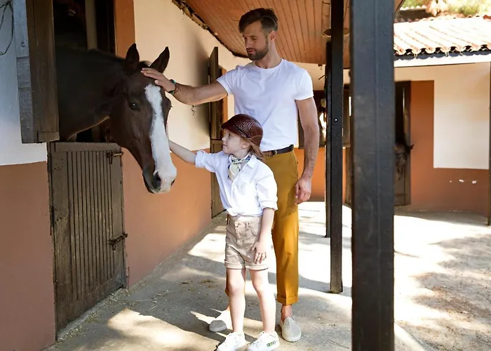 Bellis Deluxe & Heated For Winter Aqua Park 5*